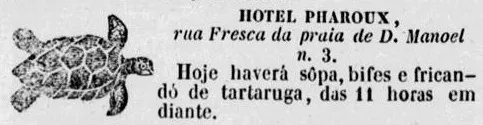 Rio de Janeiro: pratos esquecidos – a tartaruga