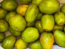 Estado do Rio: frutos da Mata Atlântica