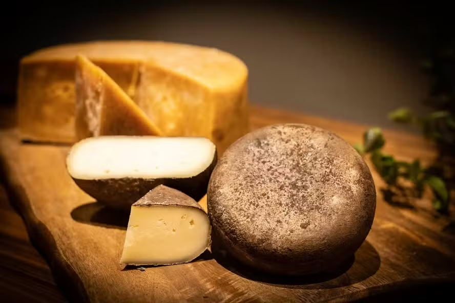 Oito queijos artesanais de pequenos produtores de Valença conquistaram o Selo Arte