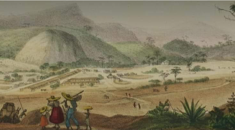 Estado do Rio: a história gastronômica da Serra do Rio de Janeiro