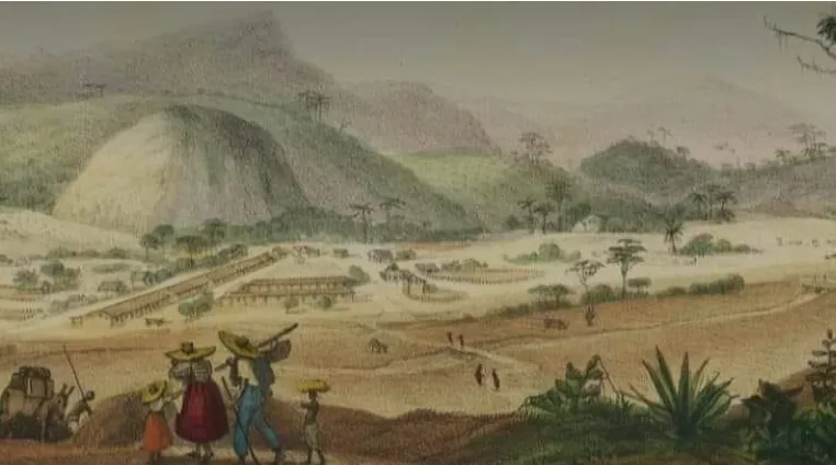 Estado do Rio: a história gastronômica da Serra do Rio de Janeiro