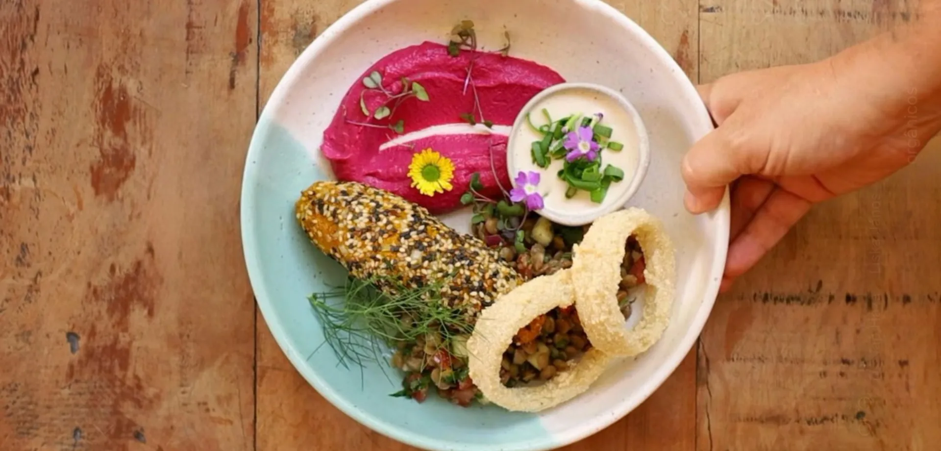 Rio de Janeiro: os vegetarianos do século XIX, no Rio de Janeiro