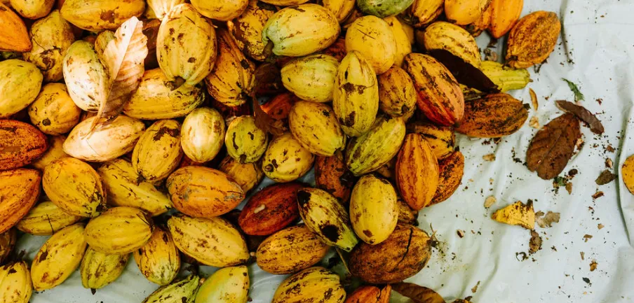 Rio de Janeiro: tudo que você queria saber sobre chocolates