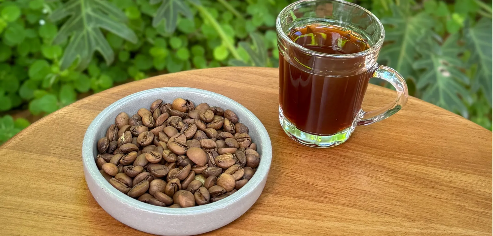 Estado do Rio: um surpreendente café de Petrópolis