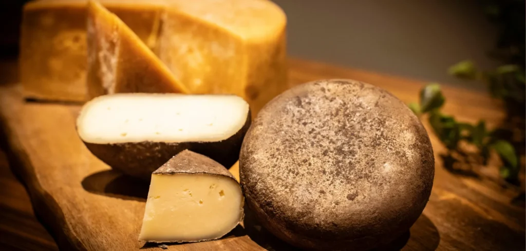 Estado do Rio: que sabor esperar de cada etapa do queijo