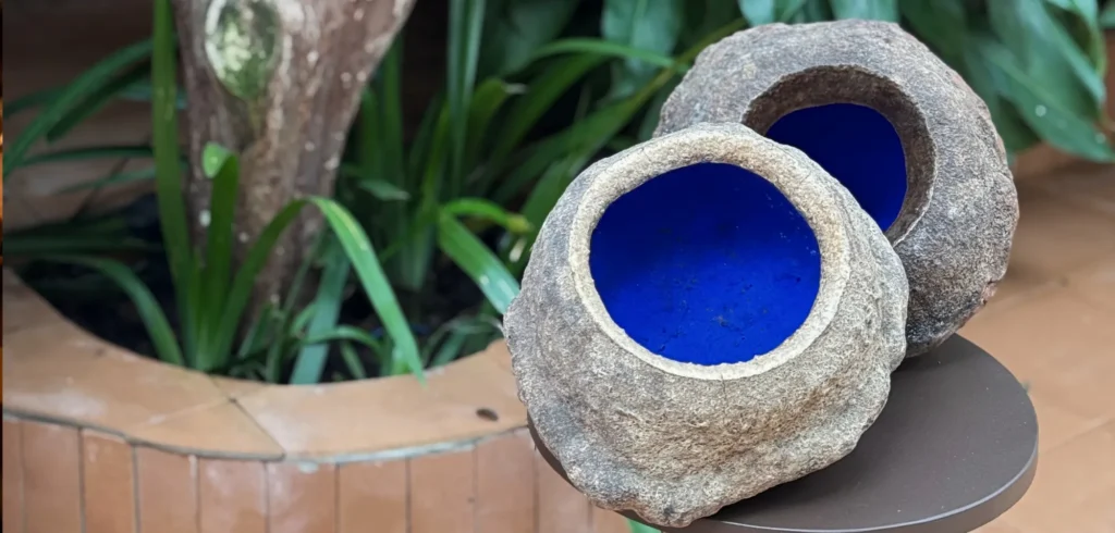 Estado do Rio: queijo maturado em árvore nativa