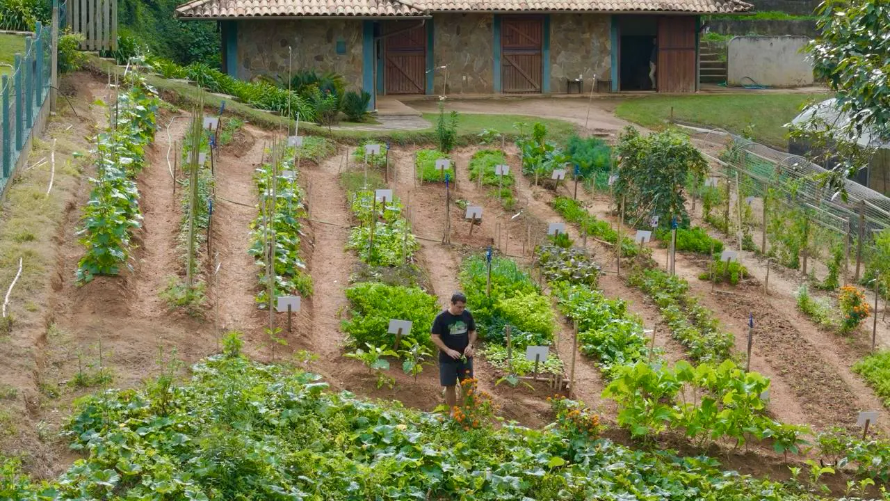 Rio de Janeiro: Lasai, alta gastronomia farm-to-table no Rio de Janeiro