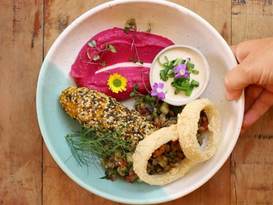 Rio de Janeiro: os vegetarianos do século XIX, no Rio de Janeiro
