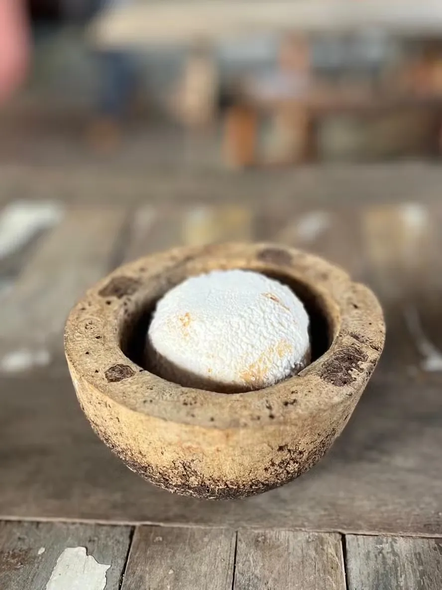 Melhor queijo de cabra do mundo é brasileiro e feito em Valença