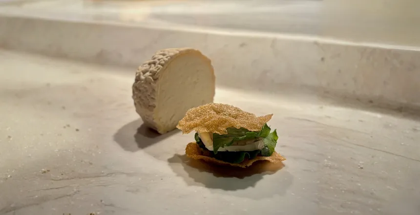 Rio de Janeiro: chef estrelado cria entrada com melhor queijo de cabra do mundo
