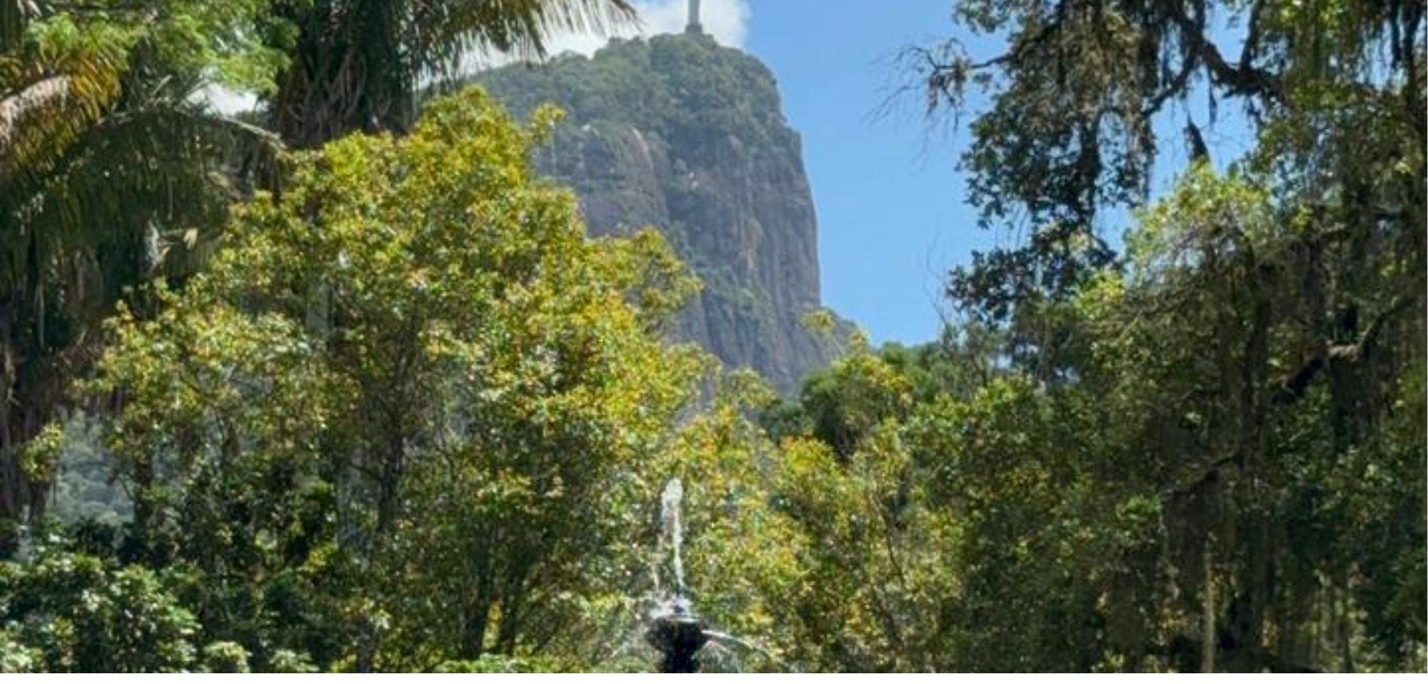 Estado do Rio: ingredientes nativos esquecidos traduzem a riqueza da biodiversidade carioca