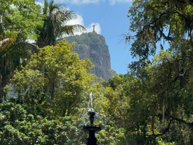 Estado do Rio: ingredientes nativos esquecidos traduzem a riqueza da biodiversidade carioca