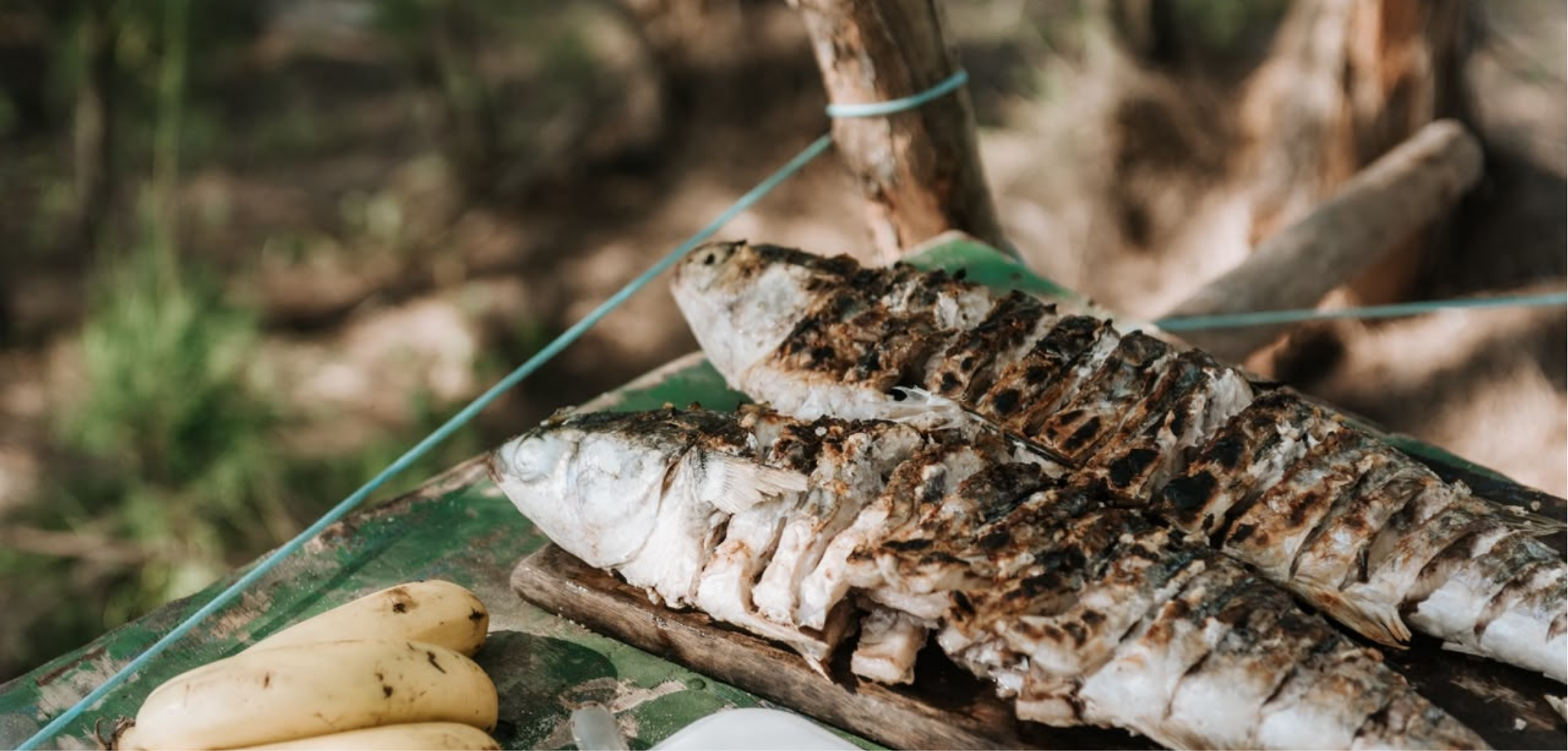 Rio de Janeiro: conservas de peixe